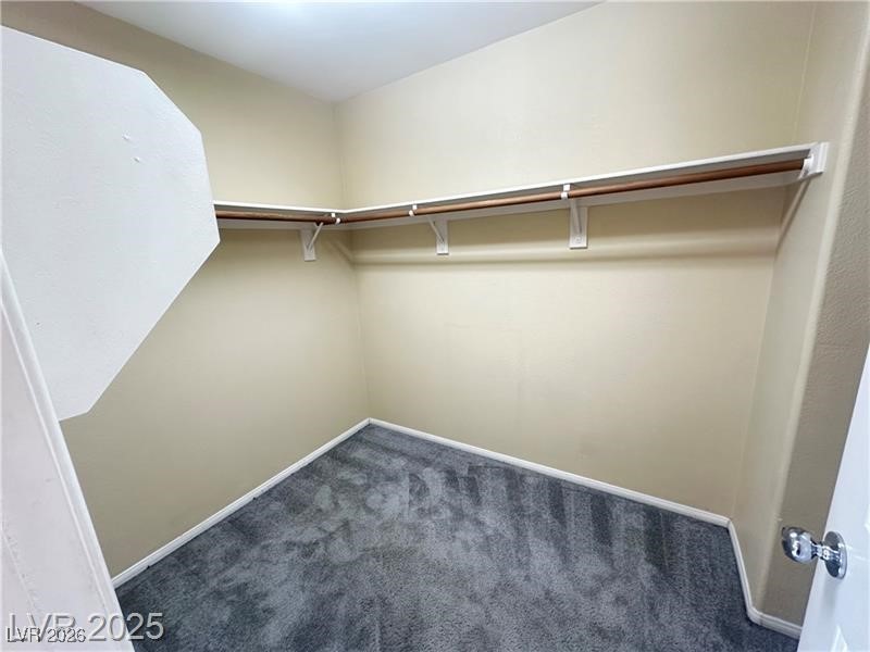 11075 Alora Street Property Photo 18