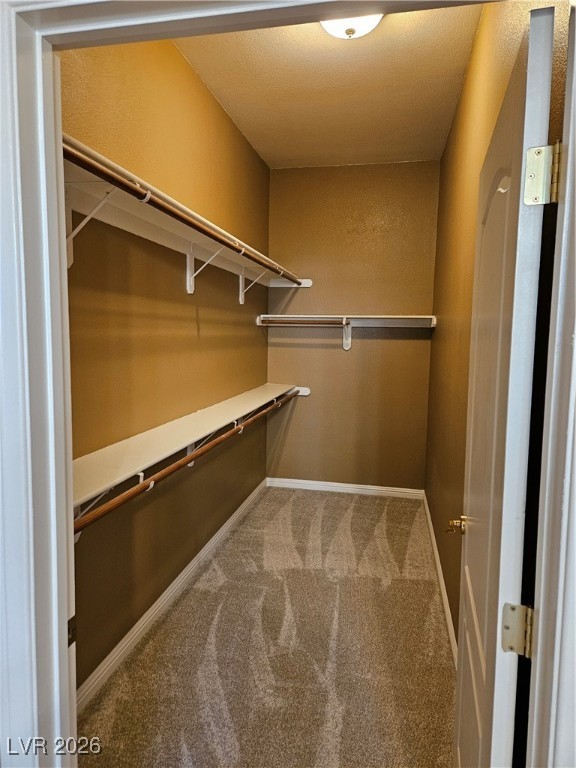 700 Carnegie Street 4113 Property Photo 19