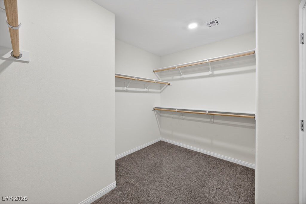 798 Calm Crystal Court Property Photo 28