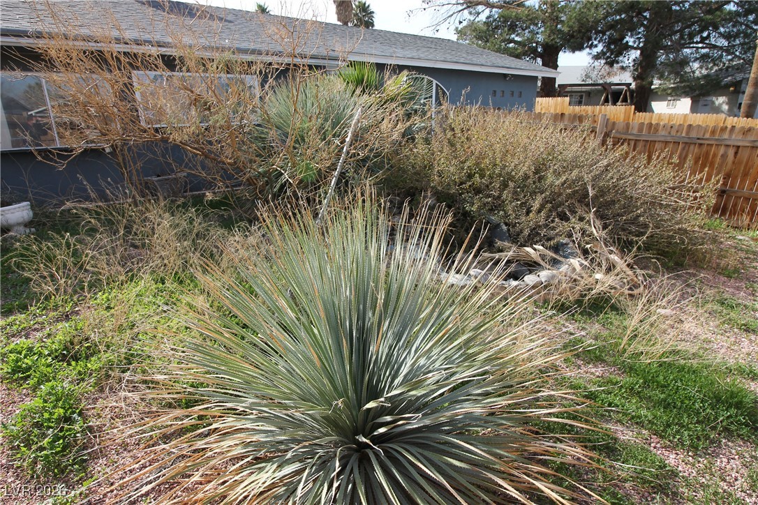 4135 Comb Circle Property Photo 13