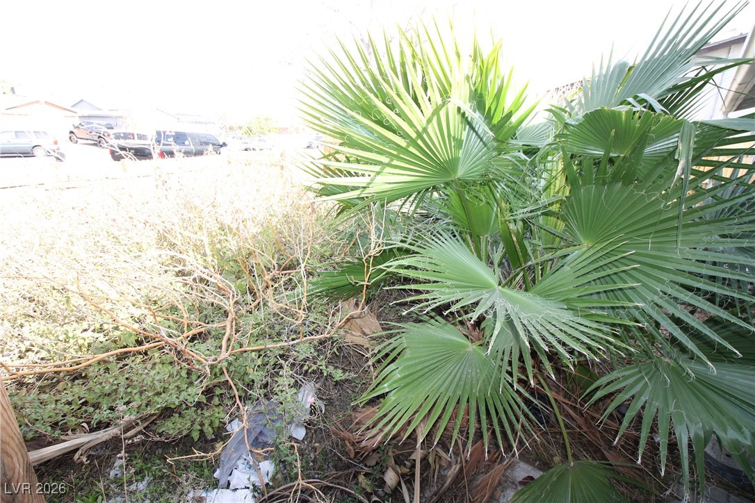 4135 Comb Circle Property Photo 49