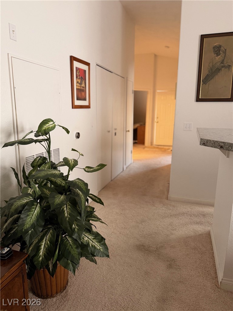 7806 Cliffside Court Property Photo 14