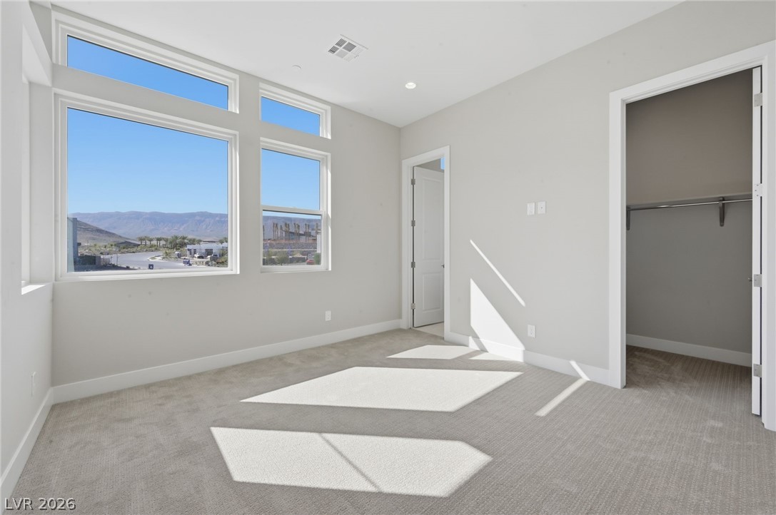 4840 Blushing Hills Street Property Photo 48
