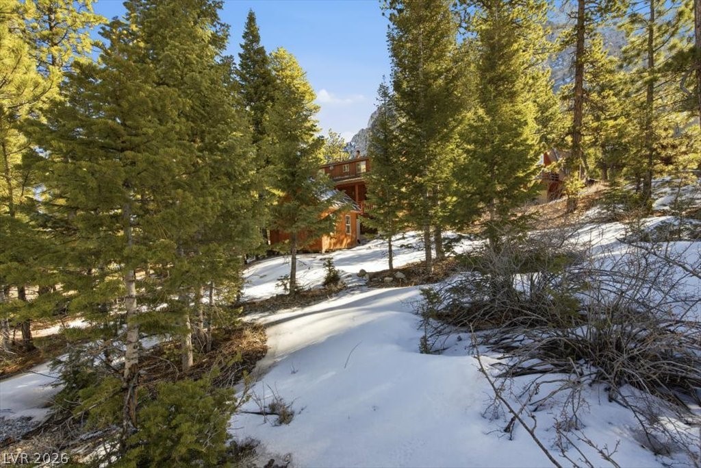 2209 Via Spes Nostra Street Property Photo 13
