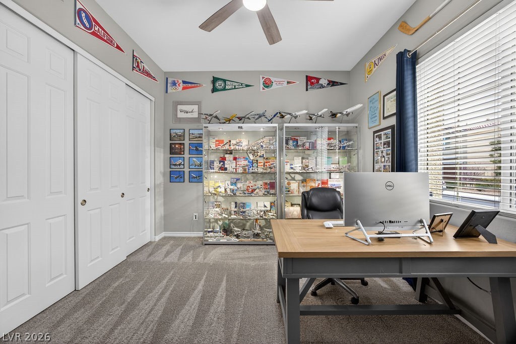 9778 Mosaic Canyon Court Property Photo 18