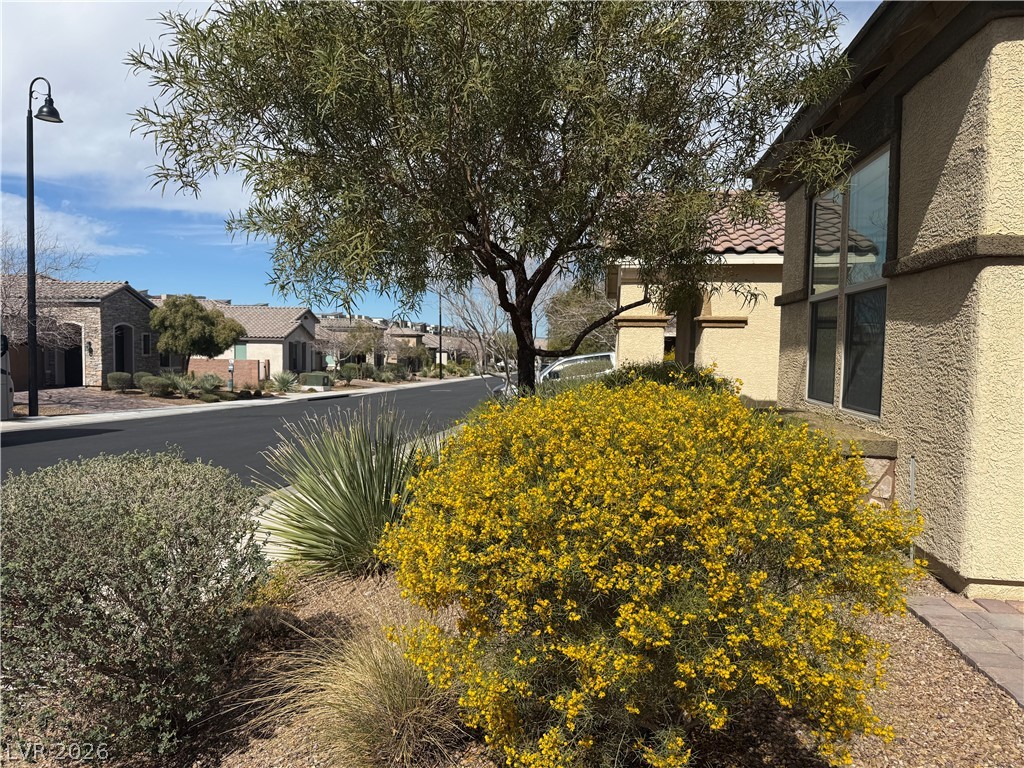 2646 Cooper Gallery Street Property Photo 17