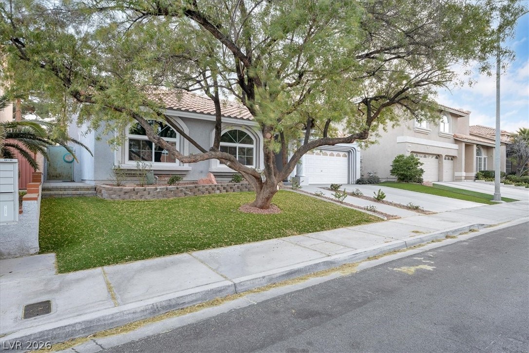2405 Alpine Meadows Avenue Property Photo 3
