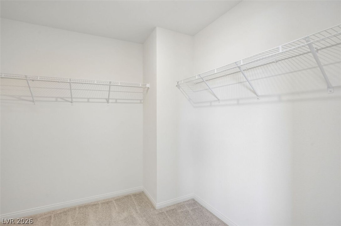 4039 Zebra Cactus Avenue Property Photo 10
