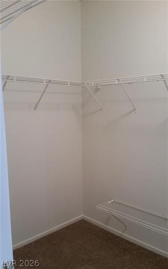 677 Principle Point Avenue Property Photo 29