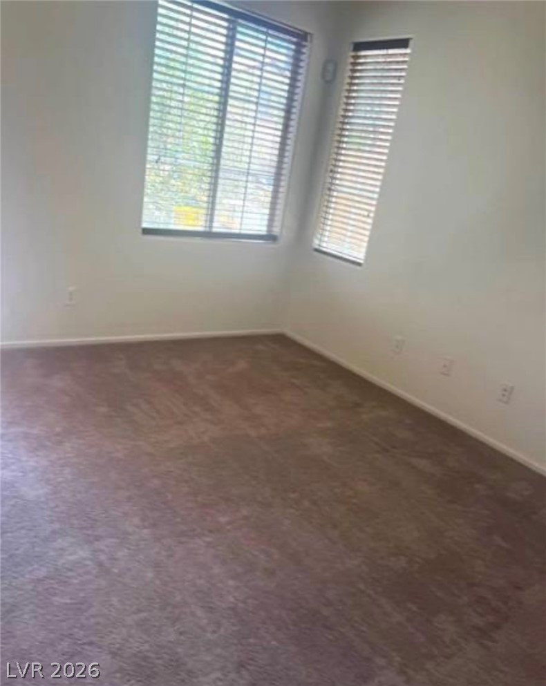 4039 Meadow Foxtail Drive Property Photo 15