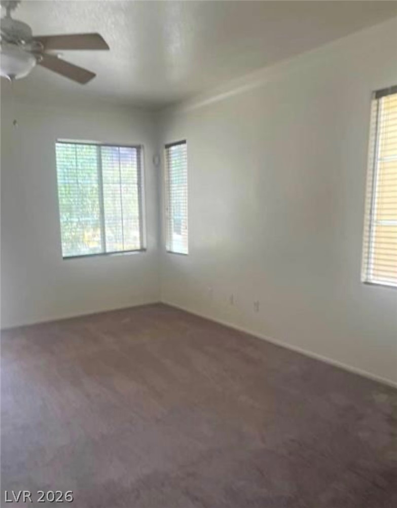 4039 Meadow Foxtail Drive Property Photo 16