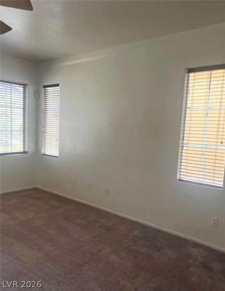 4039 Meadow Foxtail Drive Property Photo 17