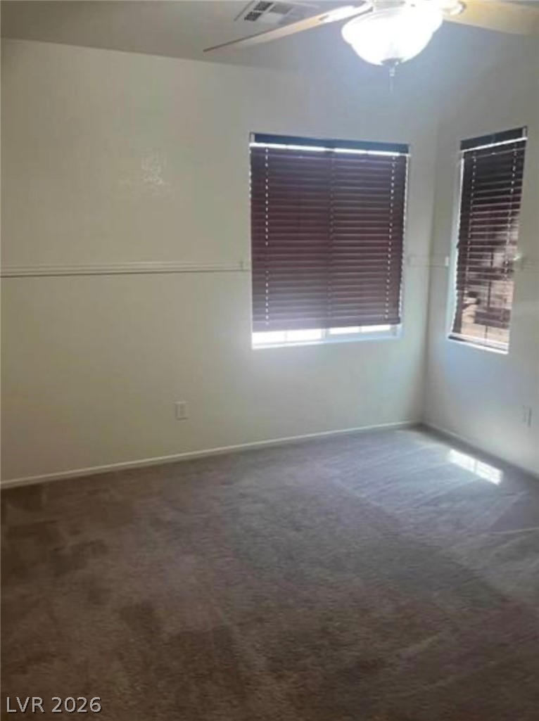 4039 Meadow Foxtail Drive Property Photo 21