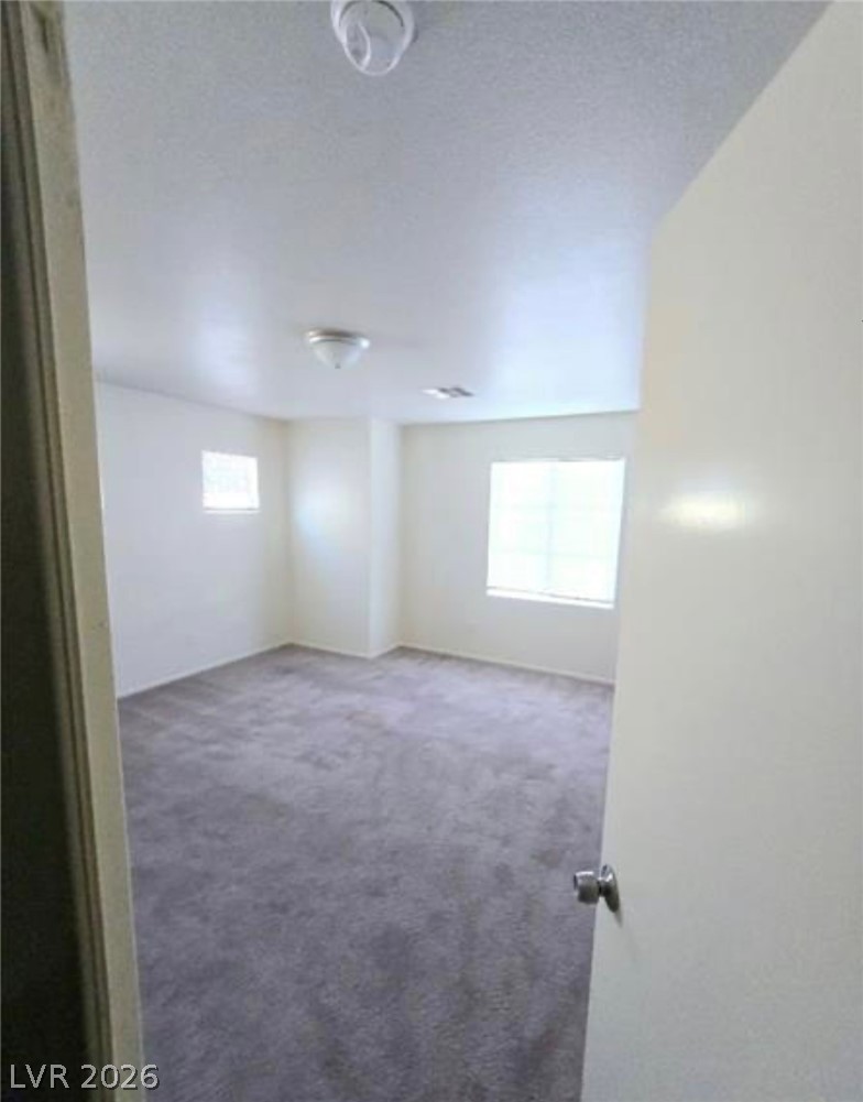 4039 Meadow Foxtail Drive Property Photo 31