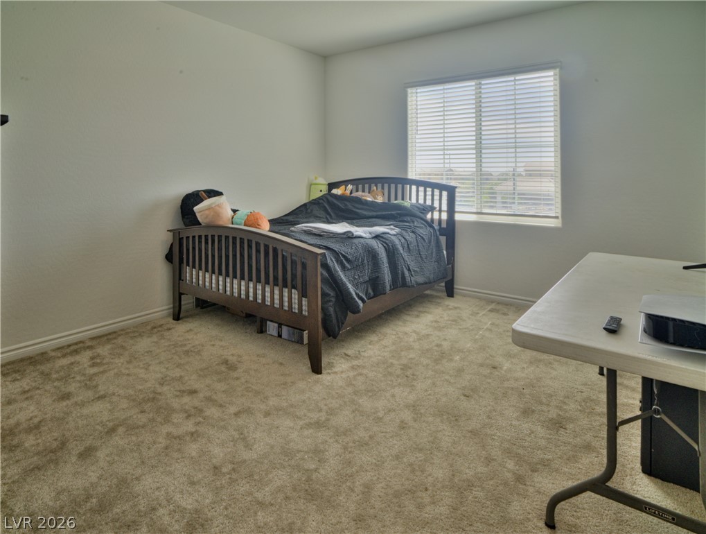 1606 Dire Wolf Avenue Property Photo 31