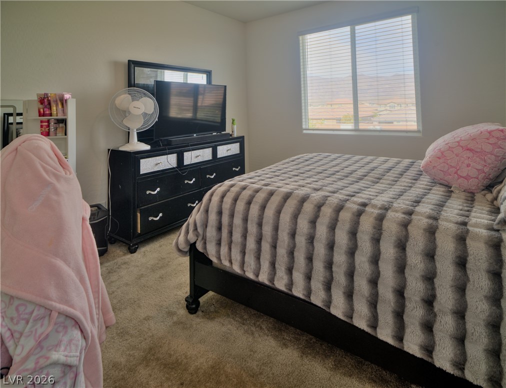 1606 Dire Wolf Avenue Property Photo 38