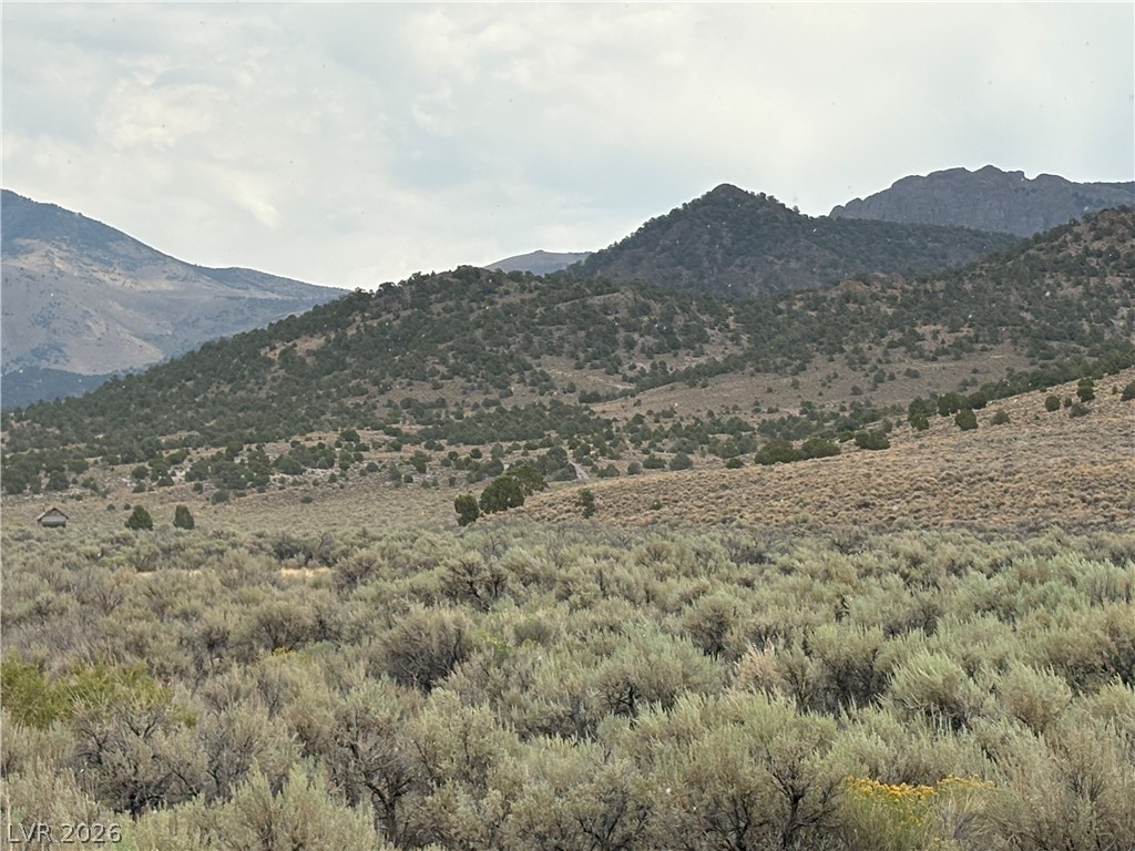 Mattier Creek Property Photo 1