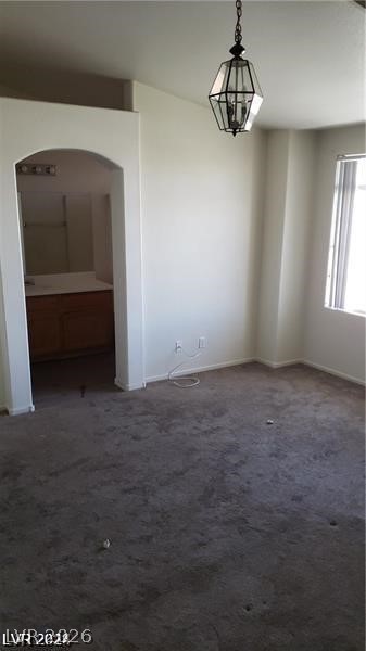 1236 Dusty Creek Street Property Photo 37