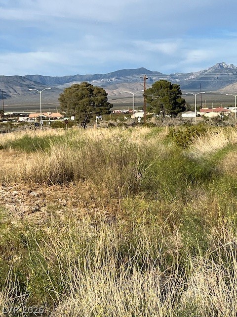 2300 East Ambush Street Property Photo 11