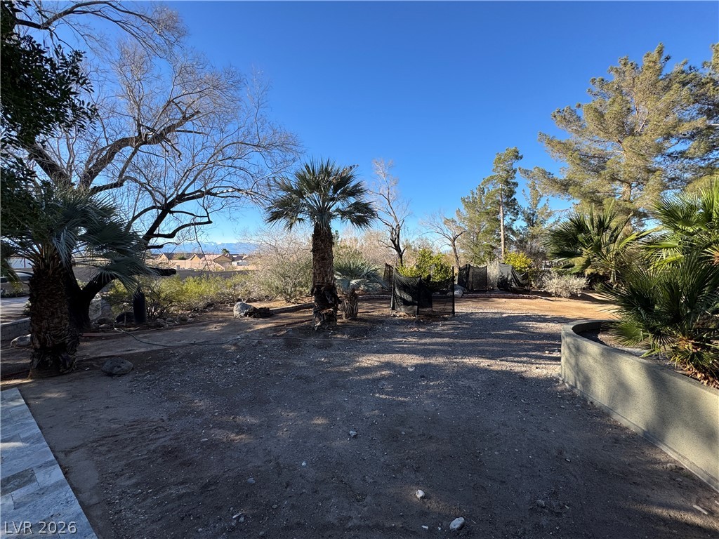 3220 East Serene Avenue Property Photo 81