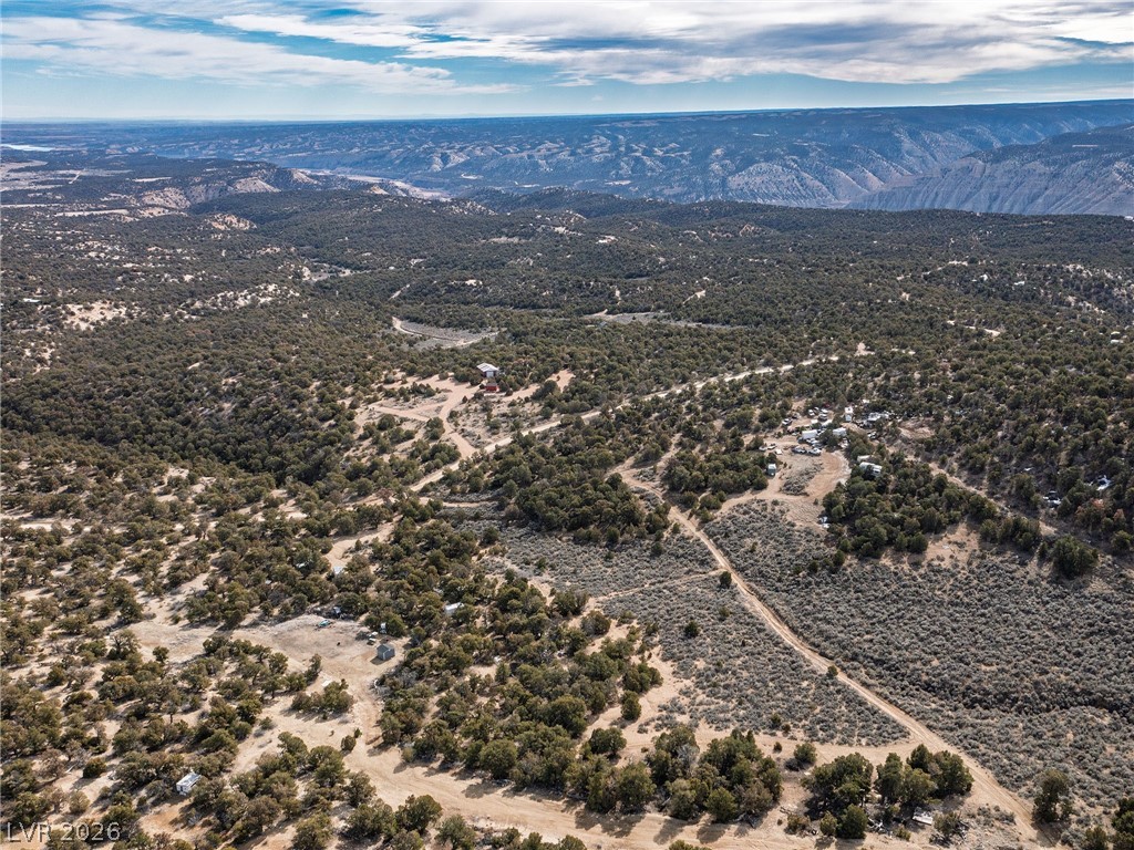 Pinion Pines Property Photo 7