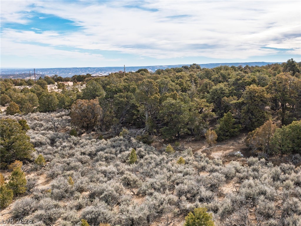 Pinion Pines Property Photo 9