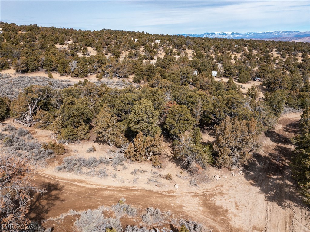 Pinion Pines Property Photo 11