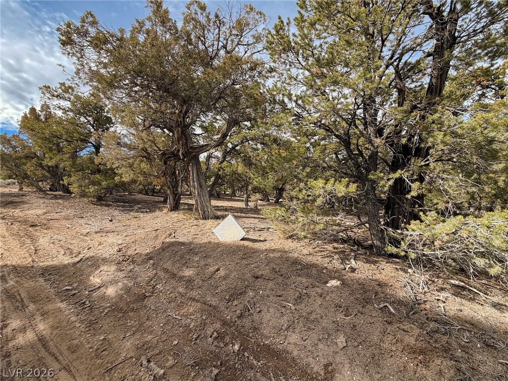 Pinion Pines Property Photo 12