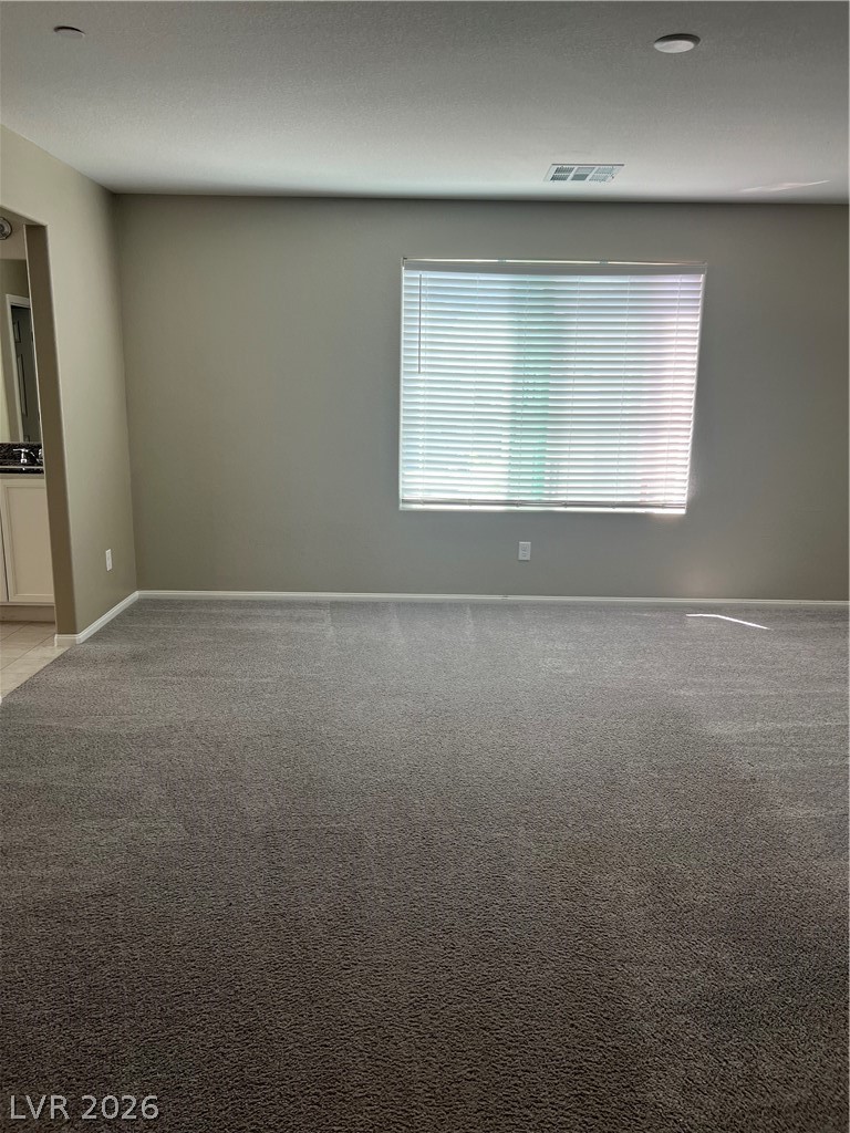 6071 Castle Gardens Avenue Property Photo 31