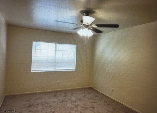 7963 Laurena Avenue Property Photo 29