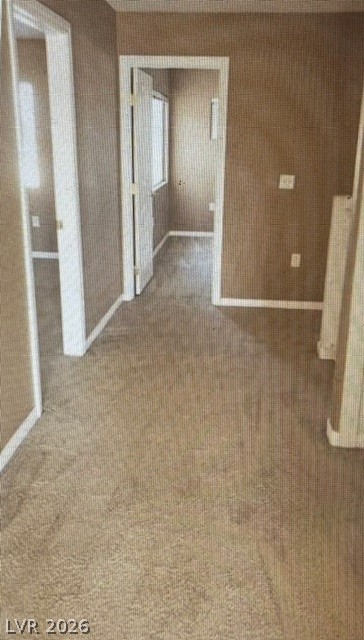 1423 Orange Jubilee Road Property Photo 20