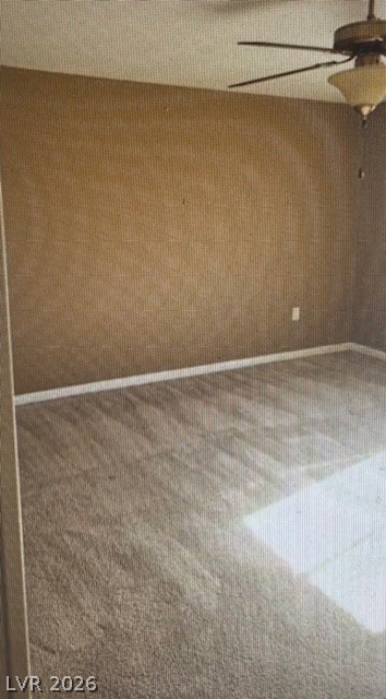 1423 Orange Jubilee Road Property Photo 25