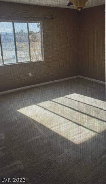 1423 Orange Jubilee Road Property Photo 27