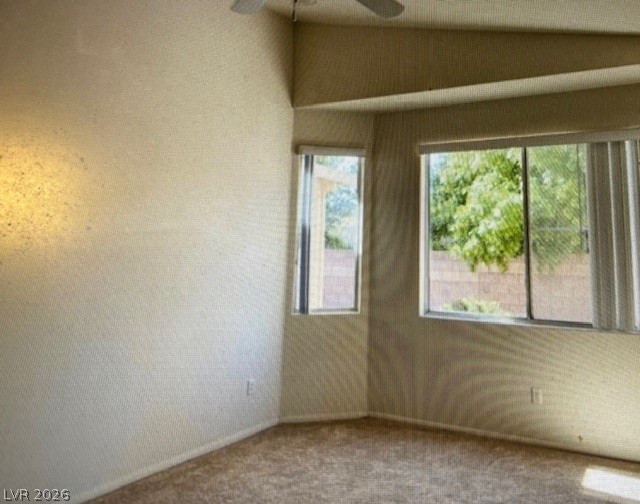 43 Pangloss Street Property Photo 17