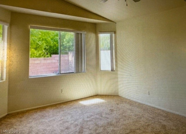 43 Pangloss Street Property Photo 18