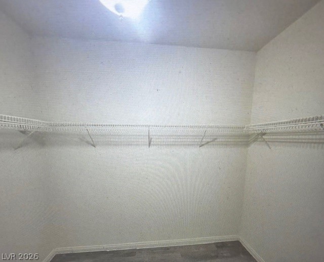 10134 Reflection Brook Avenue Property Photo 47