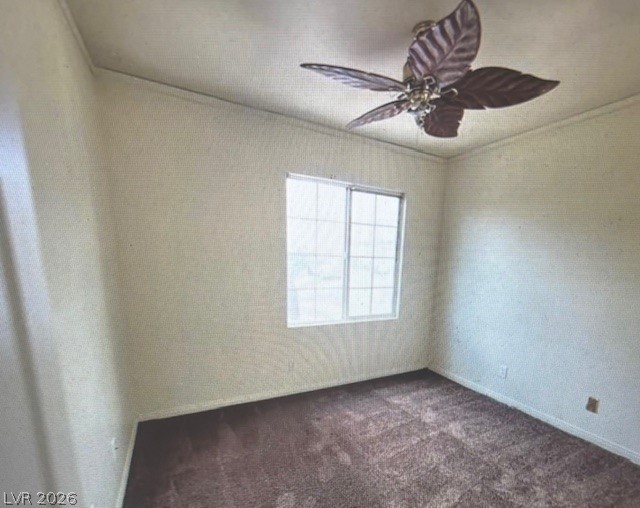 10134 Reflection Brook Avenue Property Photo 70