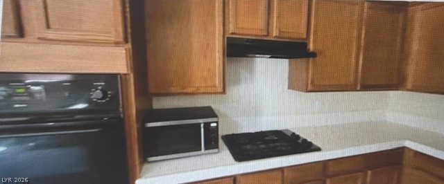 4821 Whisper Lake Avenue Property Photo 33