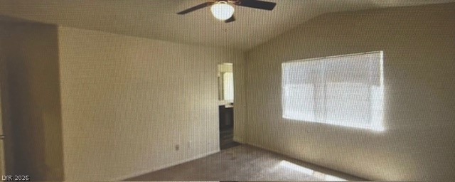 4821 Whisper Lake Avenue Property Photo 59