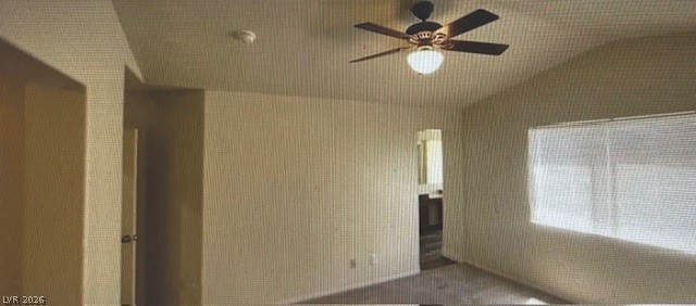 4821 Whisper Lake Avenue Property Photo 60