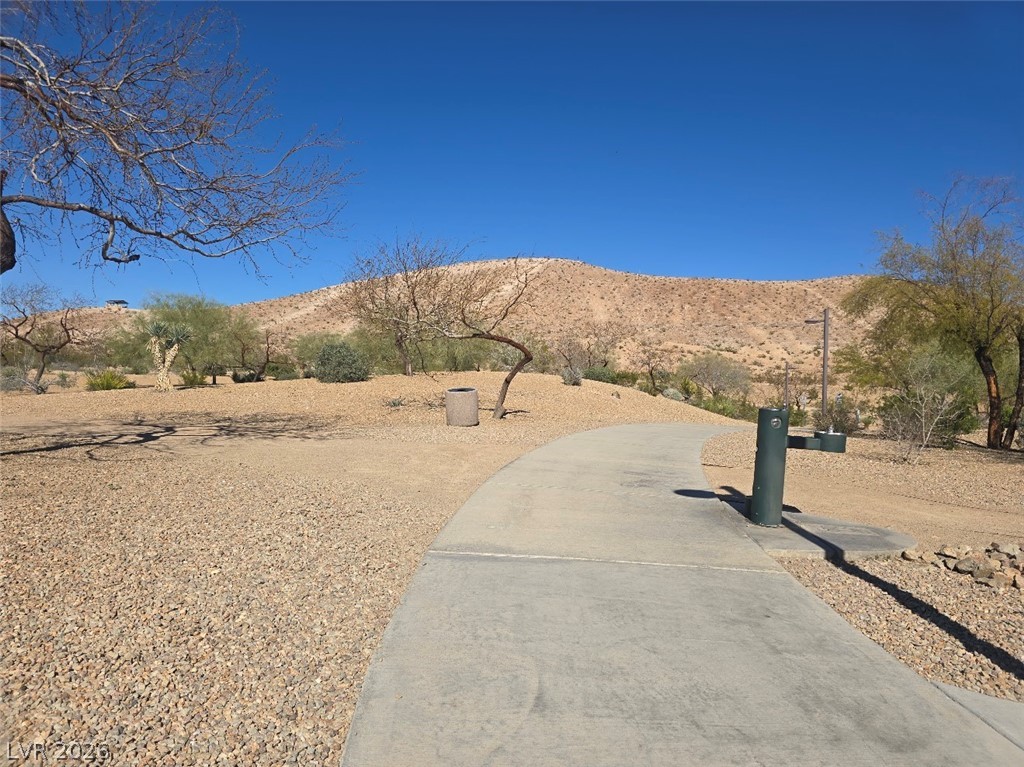 9833 Black Mulberry Street Property Photo 25