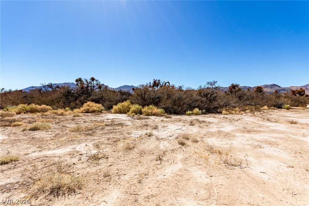 8251 West Baker Street Property Photo 5