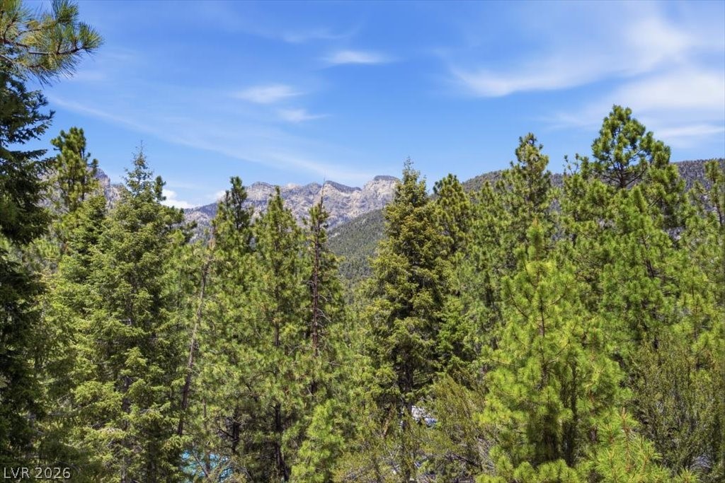 3953 Ski Trail Circle Property Photo 1