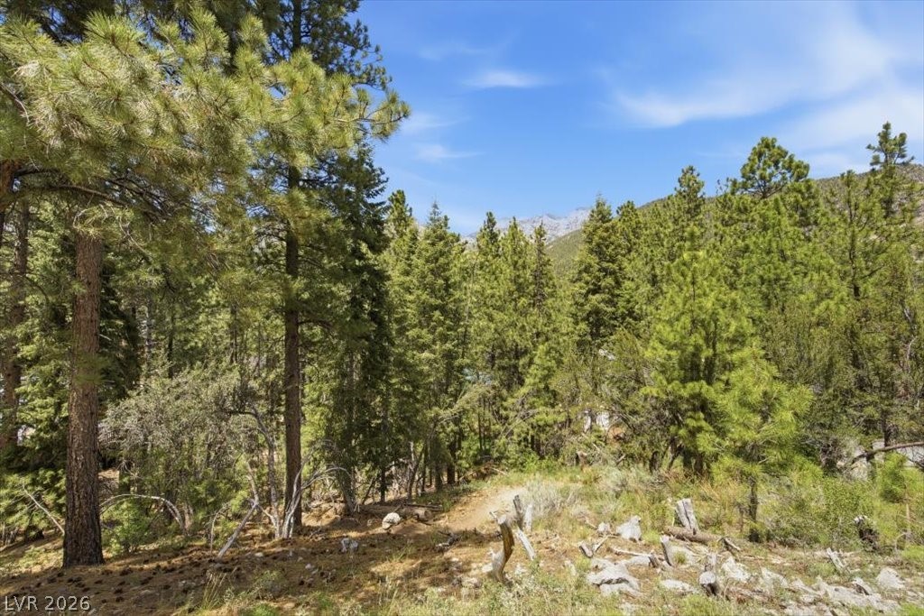 3953 Ski Trail Circle Property Photo 2