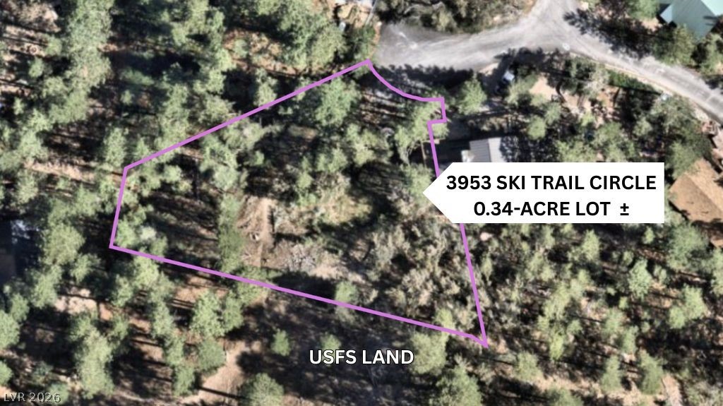 3953 Ski Trail Circle Property Photo 3