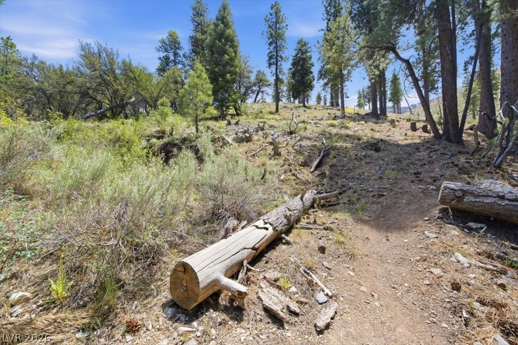 3953 Ski Trail Circle Property Photo 5