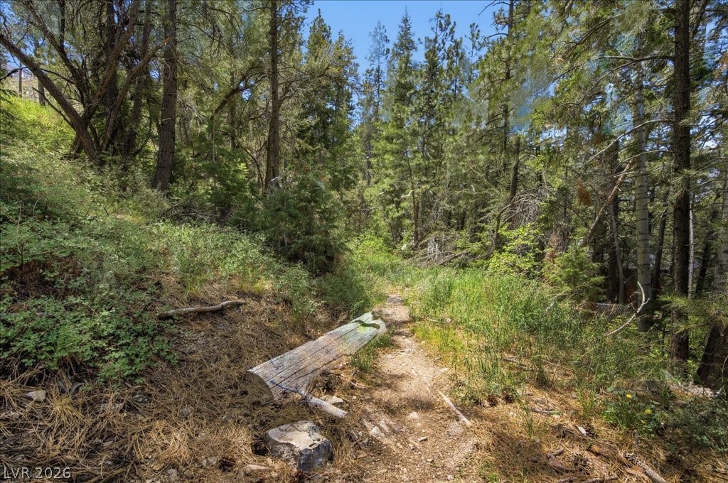 3953 Ski Trail Circle Property Photo 6