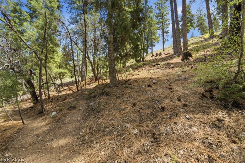 3953 Ski Trail Circle Property Photo 7