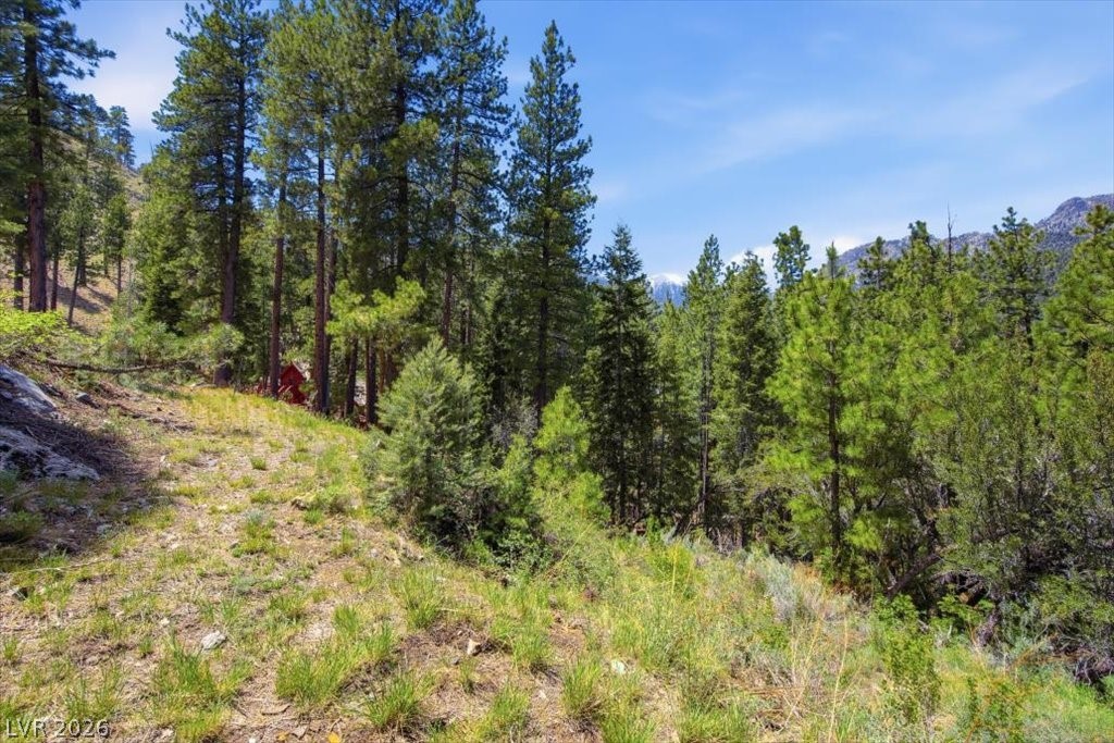 3953 Ski Trail Circle Property Photo 8