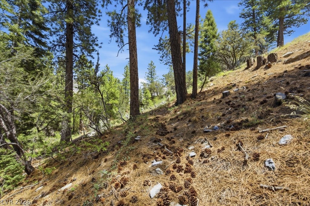 3953 Ski Trail Circle Property Photo 9